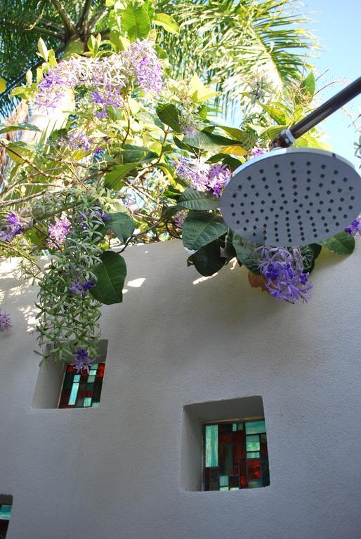 Casa Frangipani Otel Montezuma Dış mekan fotoğraf